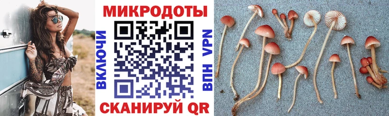 Галлюциногенные грибы ЛСД  закладка  Железногорск 