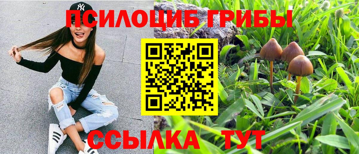 Псилоцибиновые грибы Psilocybe  Вход с VPN  Железногорск  Псилоцибиновые грибы MAGIC MUSHROOMS 